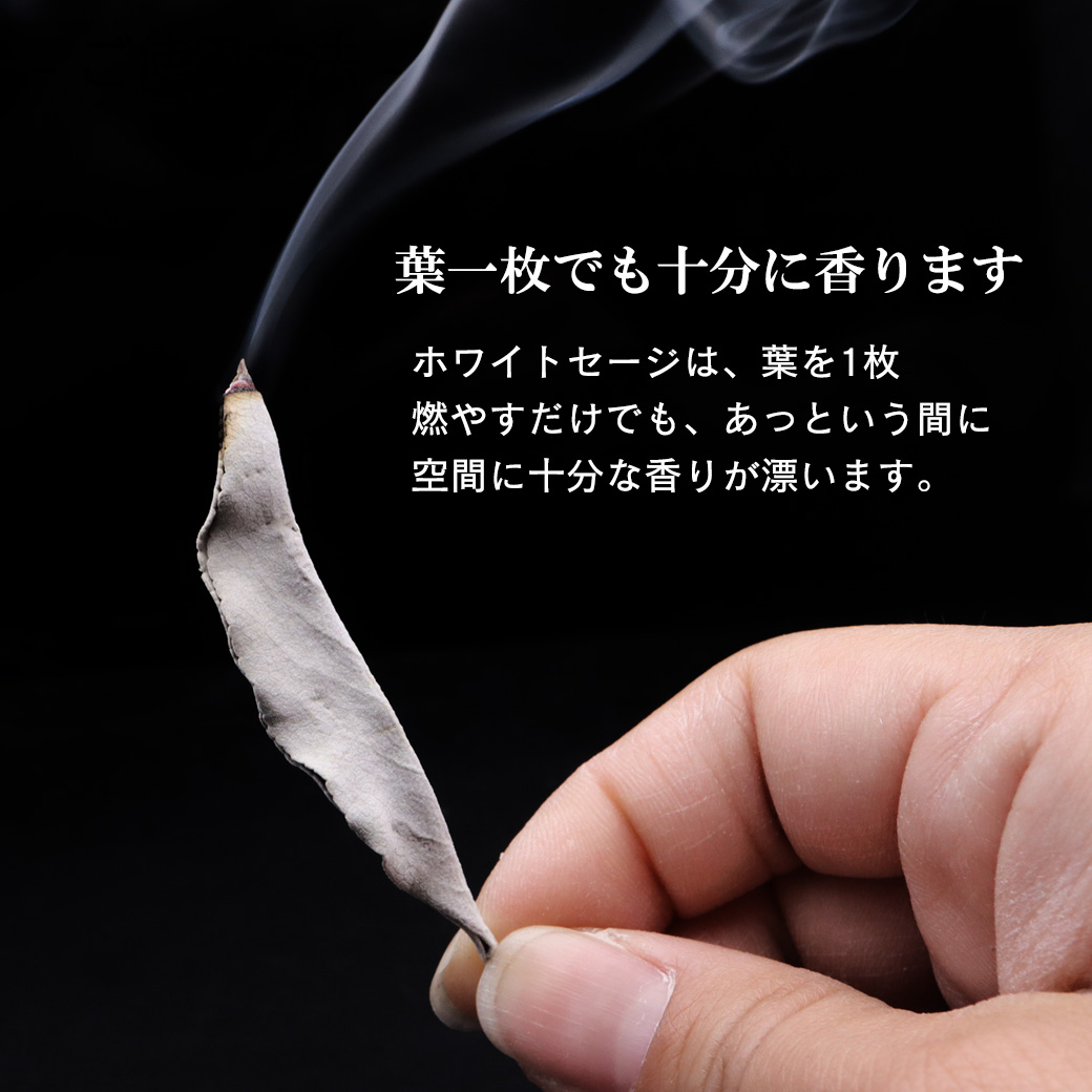 楽天市場】ホワイトセージ 枝付き 30g 選別済み 浄化用 カリフォルニア