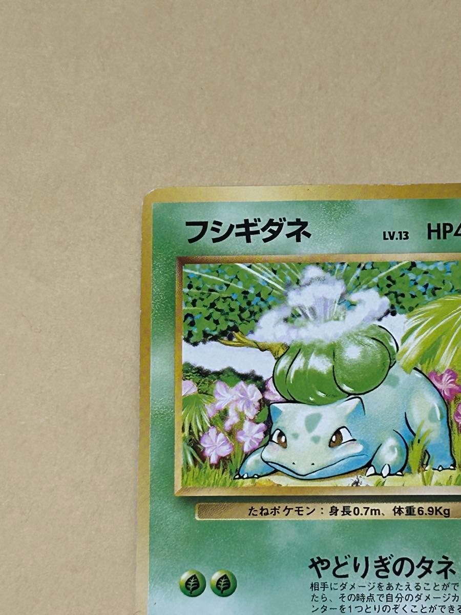希少】初版 マークなし ポケモンカード 旧裏 フシギダネ LV 13 HP40 No