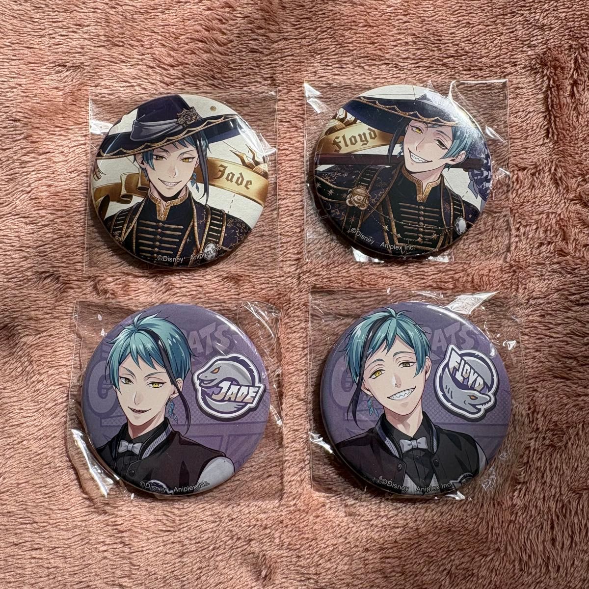 ツイステッドワンダーランド/ツイステ/ジェイド/フロイド/バースデー