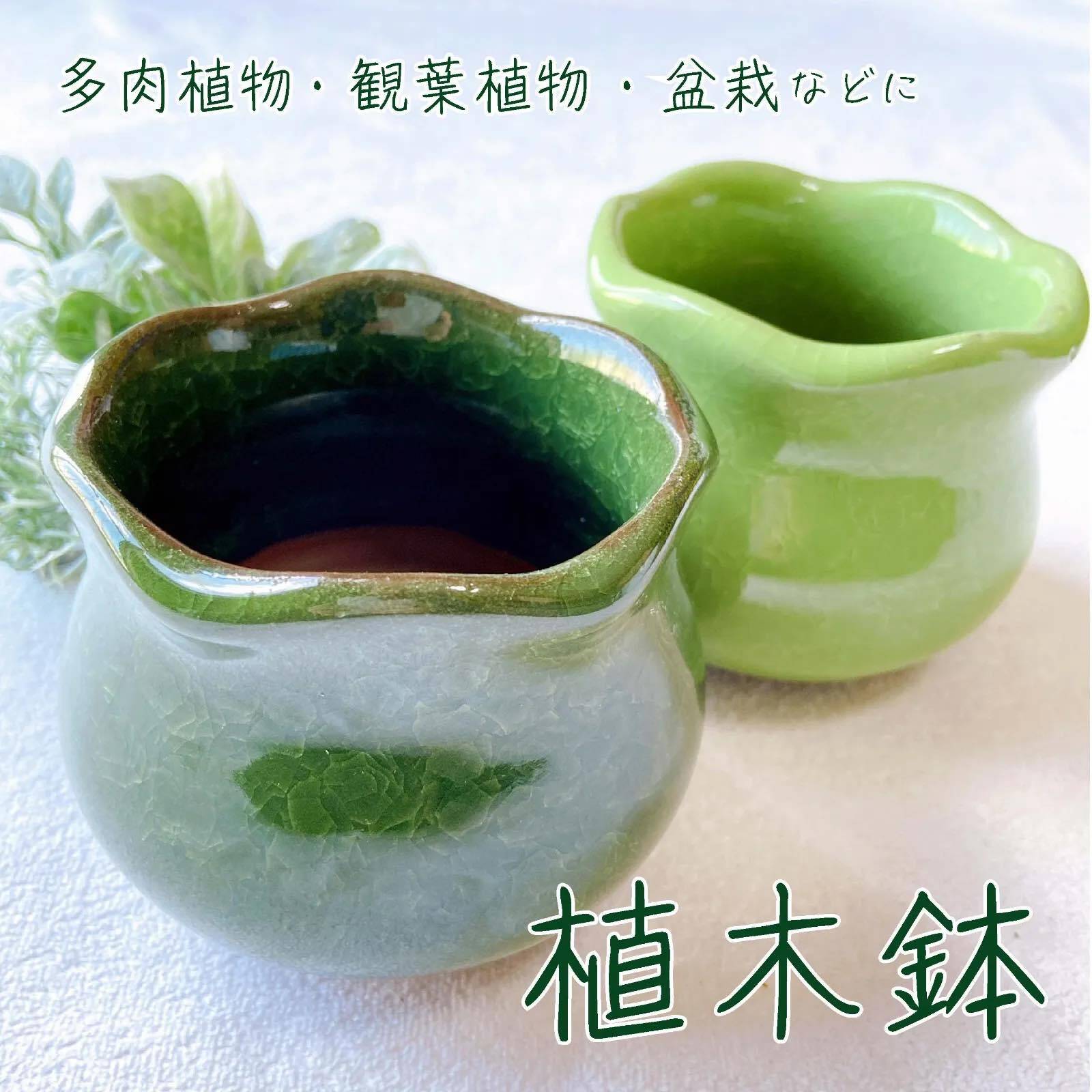 多肉植物・観葉植物・盆栽用に 北欧・ナチュラル・和風に合う緑&黄緑色