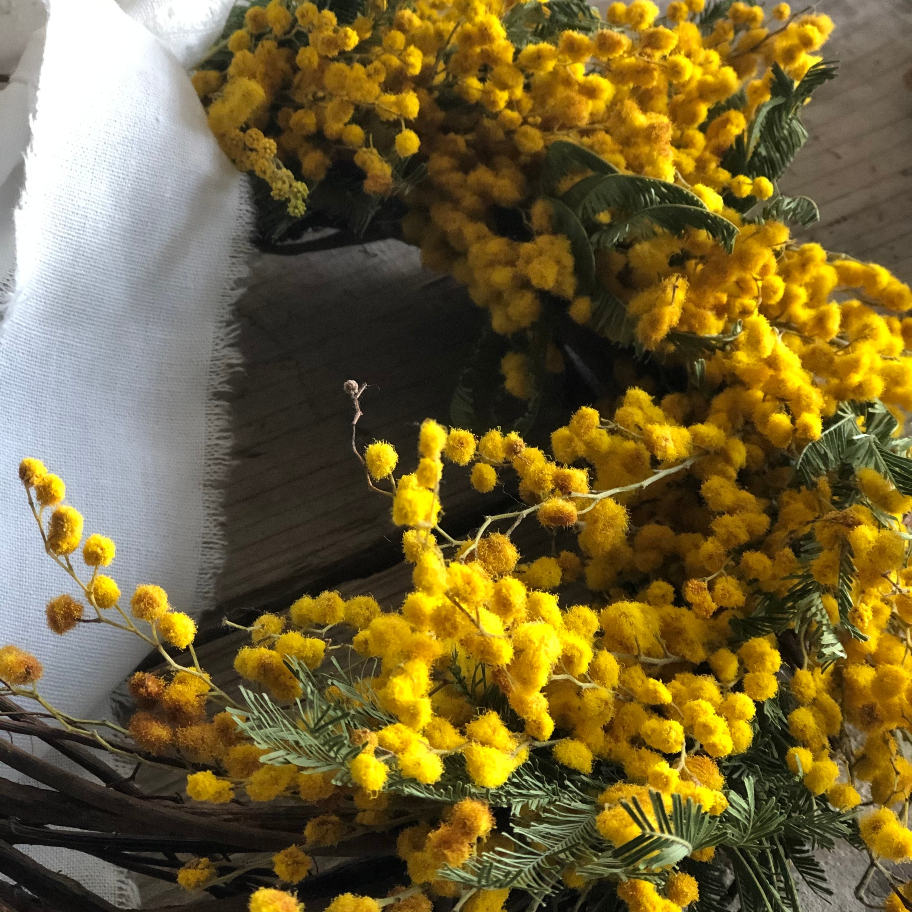 Mimosa half wreath 【ミモザハーフリース】25センチ | vinaya