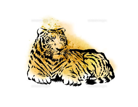 手描き水彩画の虎のイラスト素材 [FYI04879140] | ストックフォトの