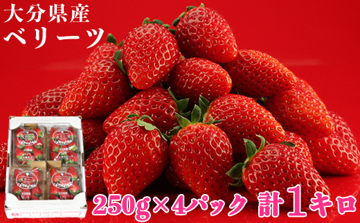 pd_173d5158cfe9ff44908e08e9c89
