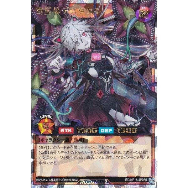 lead-netstore_rdkp18102408ttr035