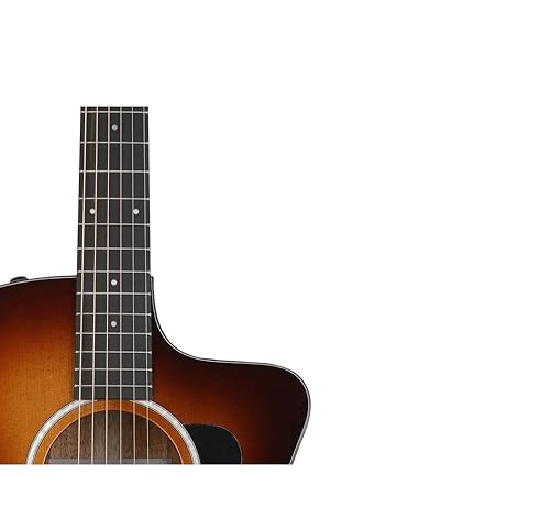 Amazon.com: Taylor 214ce-K SB Plus Acoustic-electric Guitar