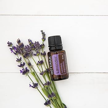 Amazon.com: doTERRA Lavender Essential Oil - 15 ml (Lavender