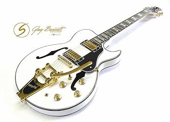 Samick Greg Bennett Royale IV Limted Edition Half Resonance Guitar