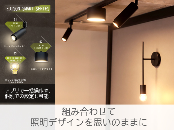 Amazon.co.jp : 【Amazon Alexa対応】エジソンスマート ミニスポット