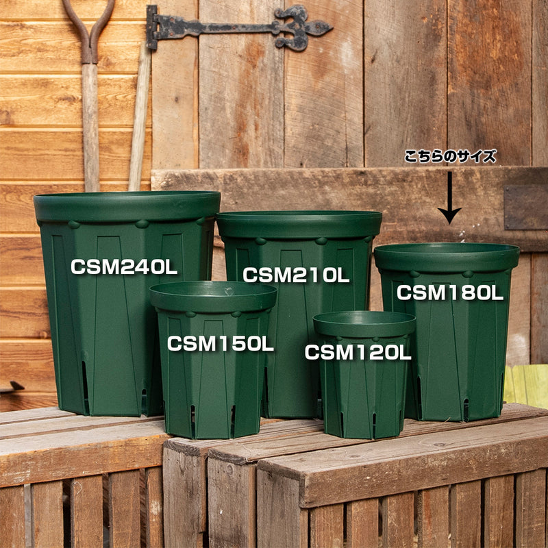 スリット鉢 CSM-180L 5個セット