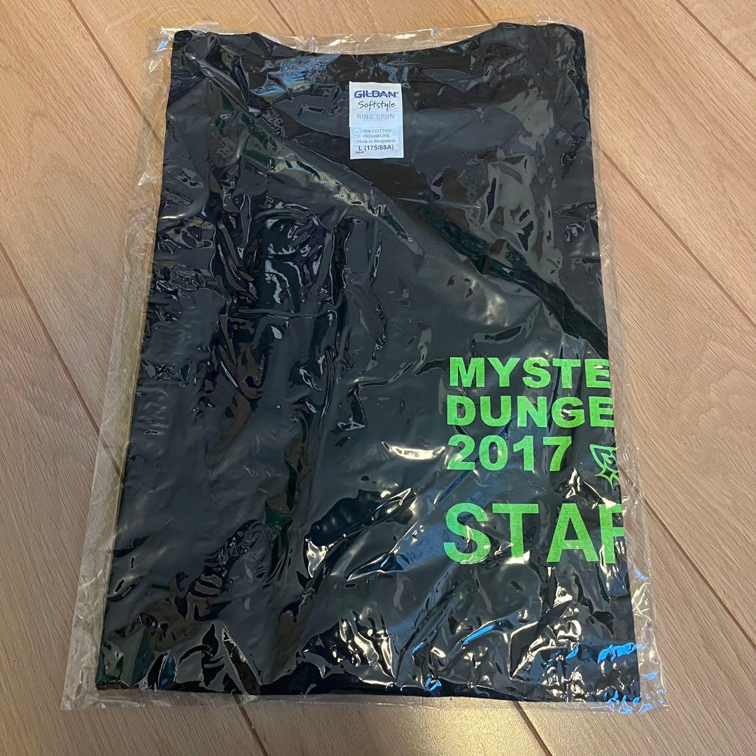 GReeeeN ライブスタッフTシャツ GRe4N BOYZ 71FP84WpL5L._AC_UF350,
