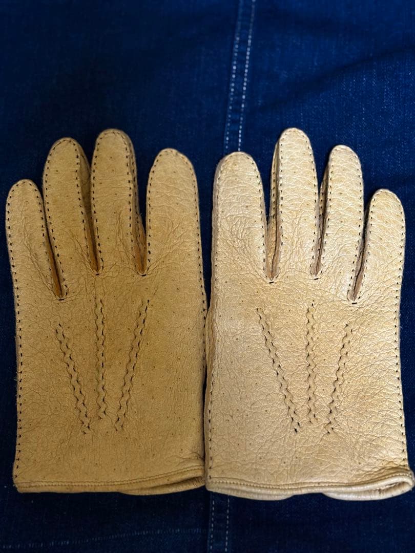 DENTS ペッカリー アンライニング デンツ 7H ボーイズマーケット