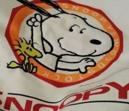 極上古着綺麗SNOOPYスキーウェア 上下セット かわいい目立つコレクション