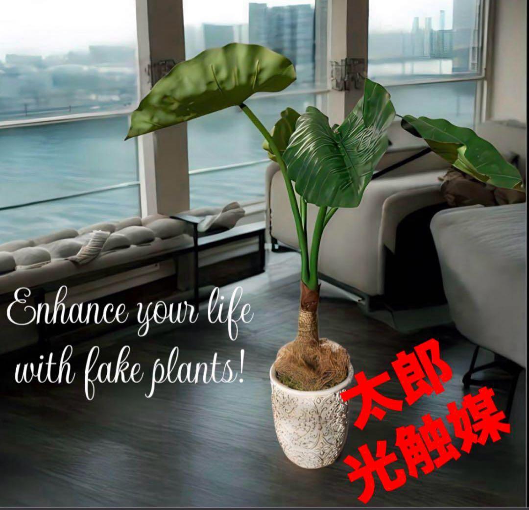 光触媒　人工観葉植物　ウォールグリーン　フェイクグリーン　クワズイモ7758