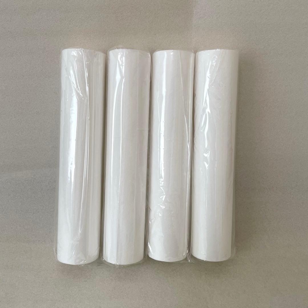 タイセイ　回帰水　JCP フィルター　4本セット　ナチュリターン　②