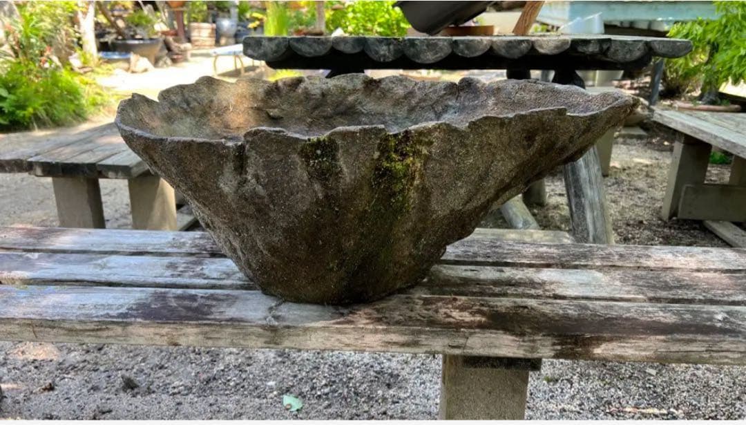 自然石風 水鉢　めだかの館オリジナル一品手作りメダカ鉢　横幅約73㎝