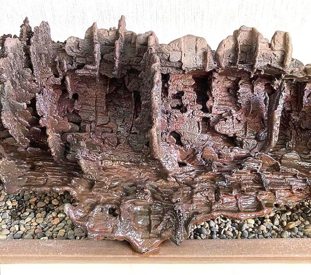 溶岩流[稀少品]観賞用・アクアリウム用