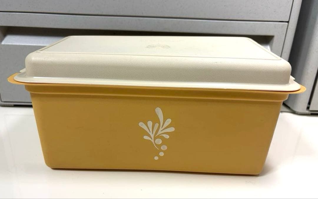 昭和レトロ入手困難希少激レア❤︎Tupperwareタッパーウェア❤︎パンケース大