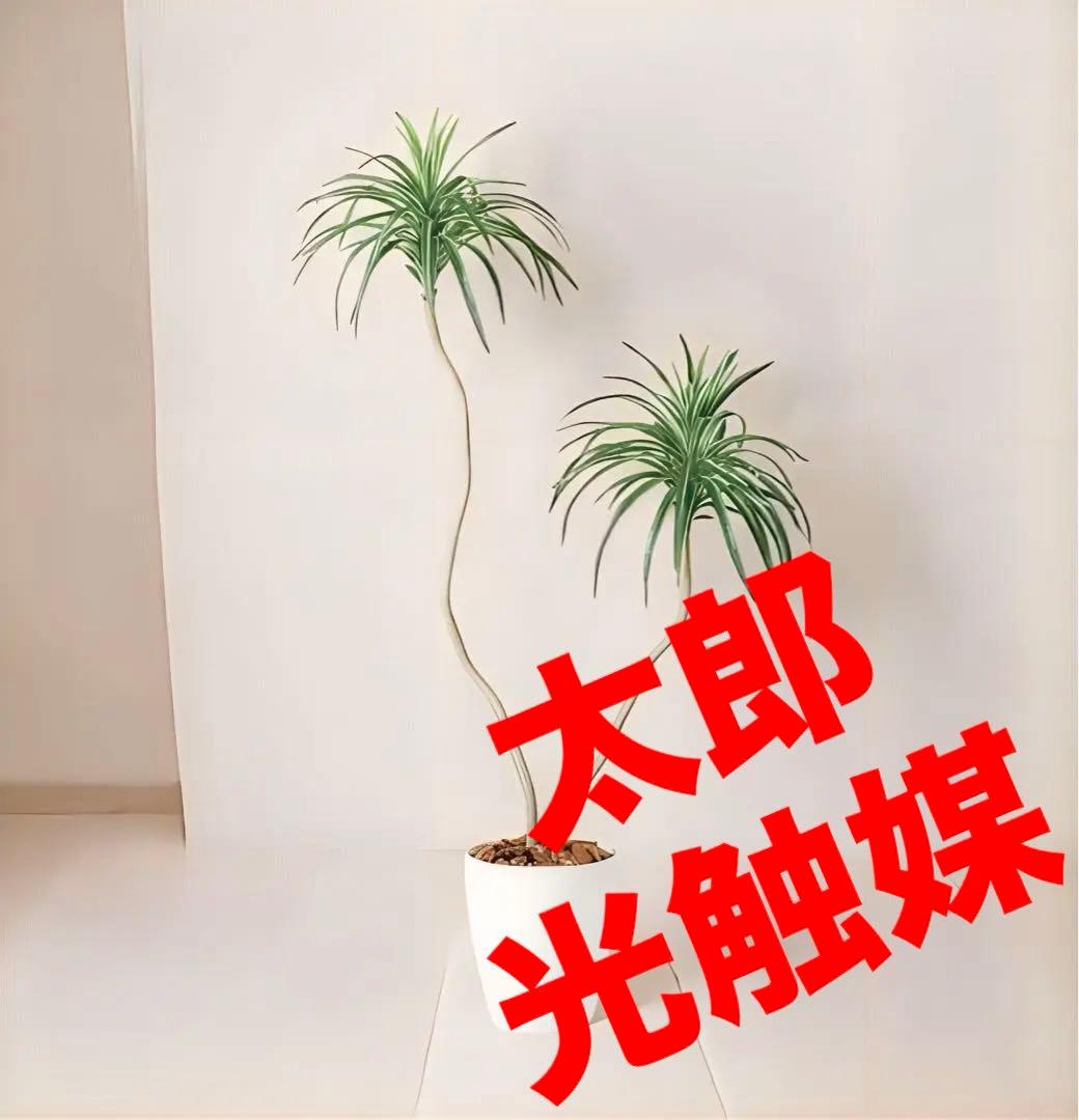 光触媒　人工観葉植物　ウォールグリーン　フェイクグリーン　コンシナベンド 130