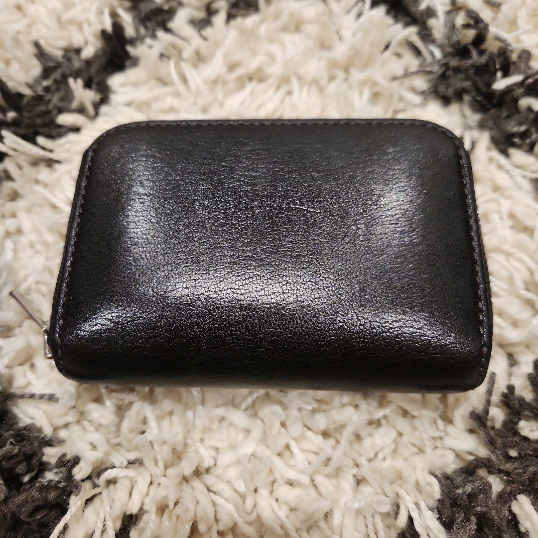 【WILDSWANS】ワイルドスワンズ　ラファロ