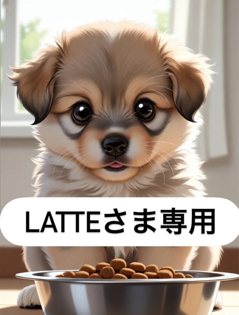 LATTEさま専用