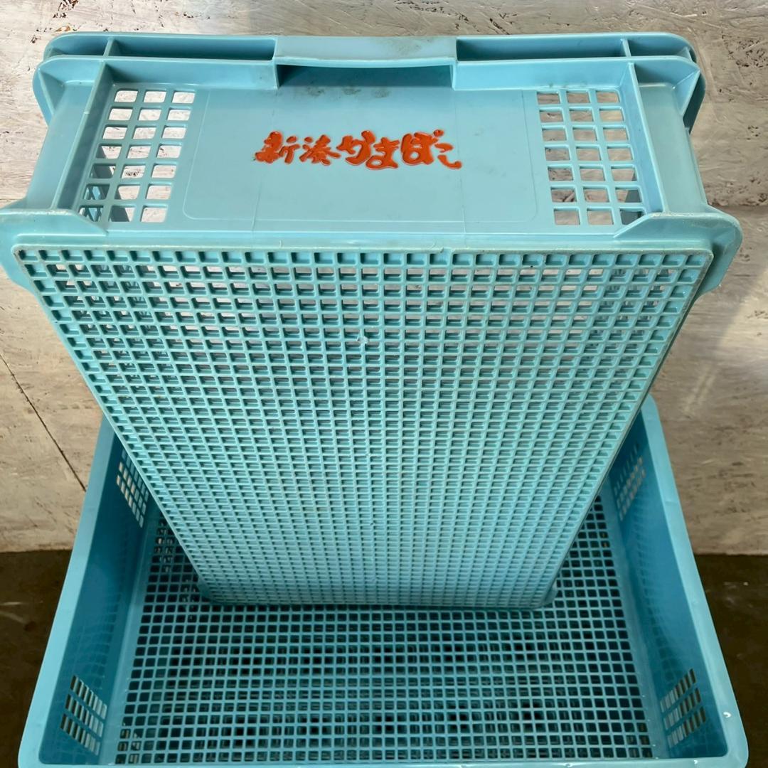 【サンコー】 三甲 サンテナー B#48 5個 セット まとめ ④ A0856