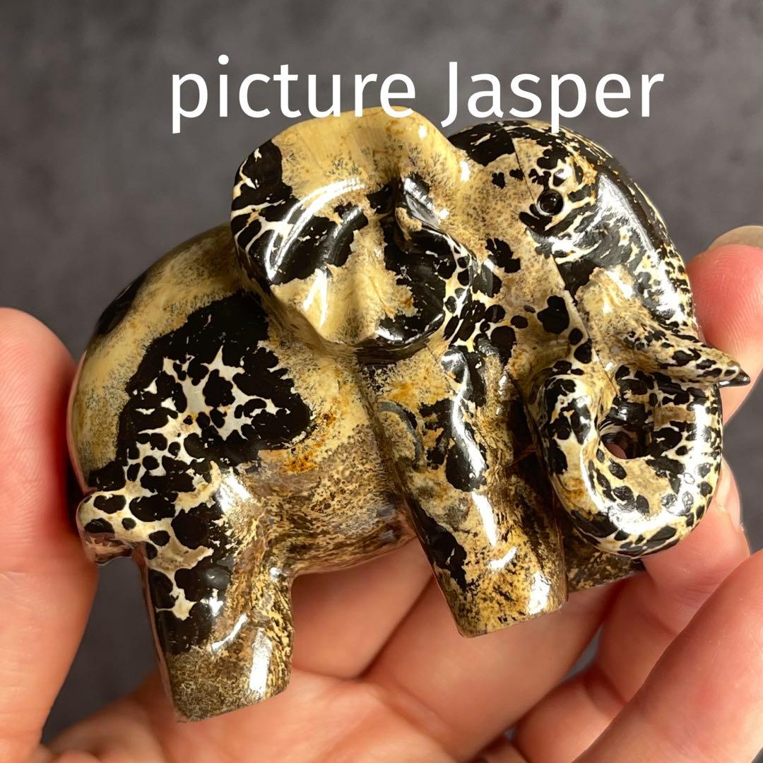 ピクチャー ジャスパー 象