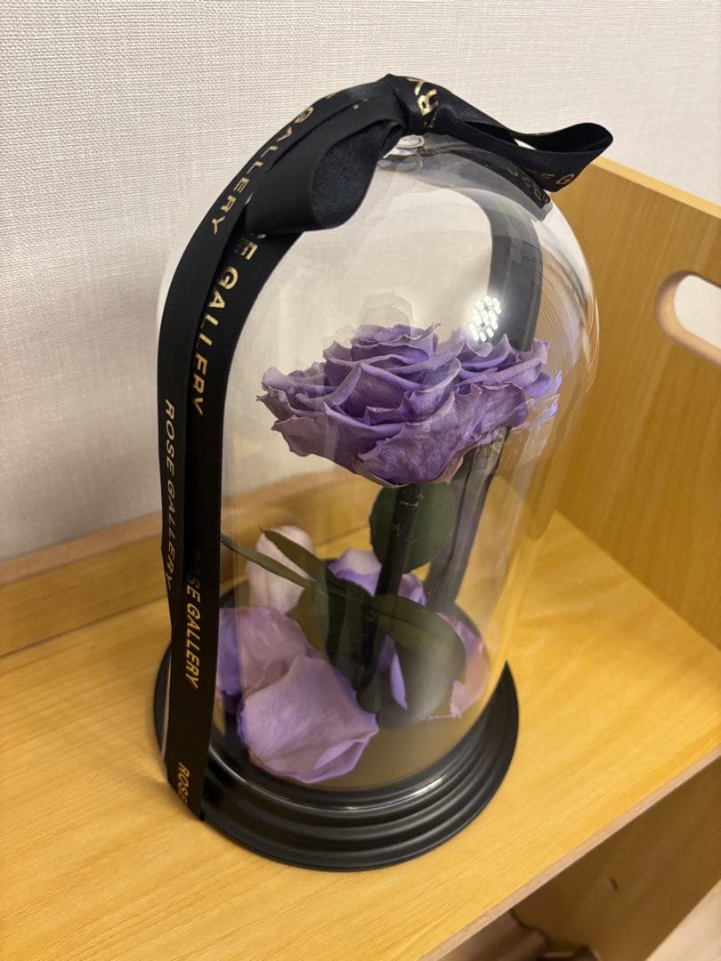 ローズギャラリー　バラ　紫