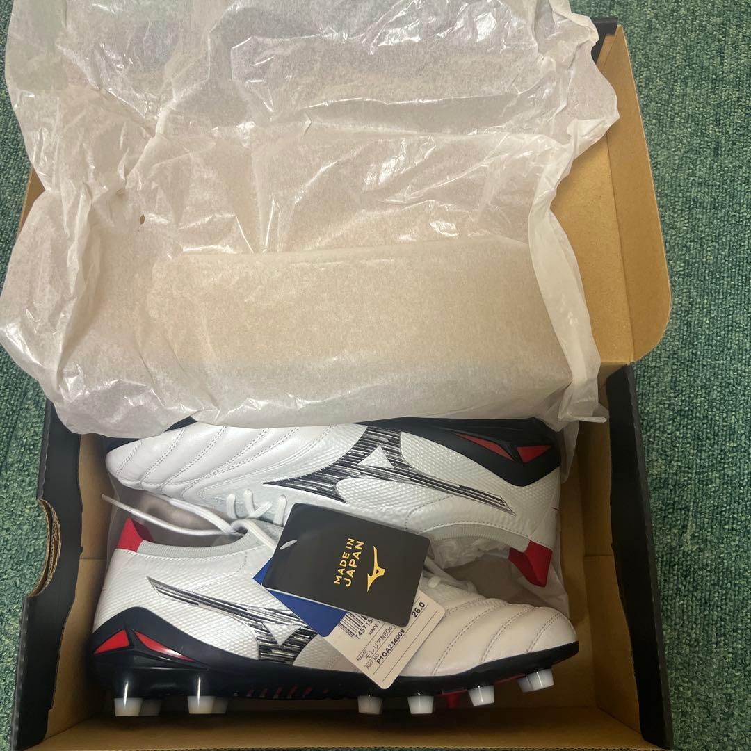 【一般ピーポー】モレリアネオ4β 26cm