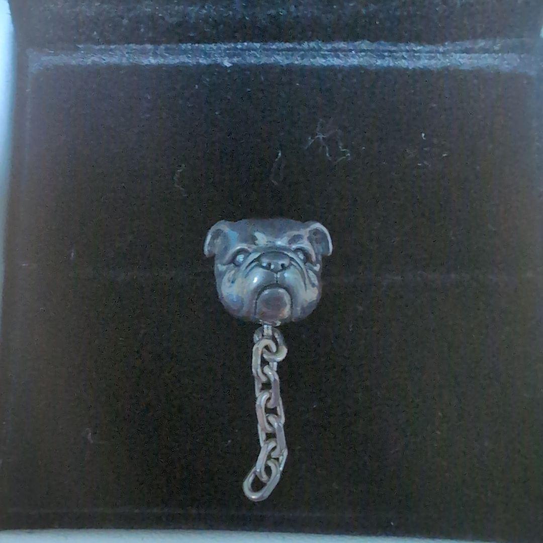 Justin Davis 　SEJ654　MADDOG EARRING