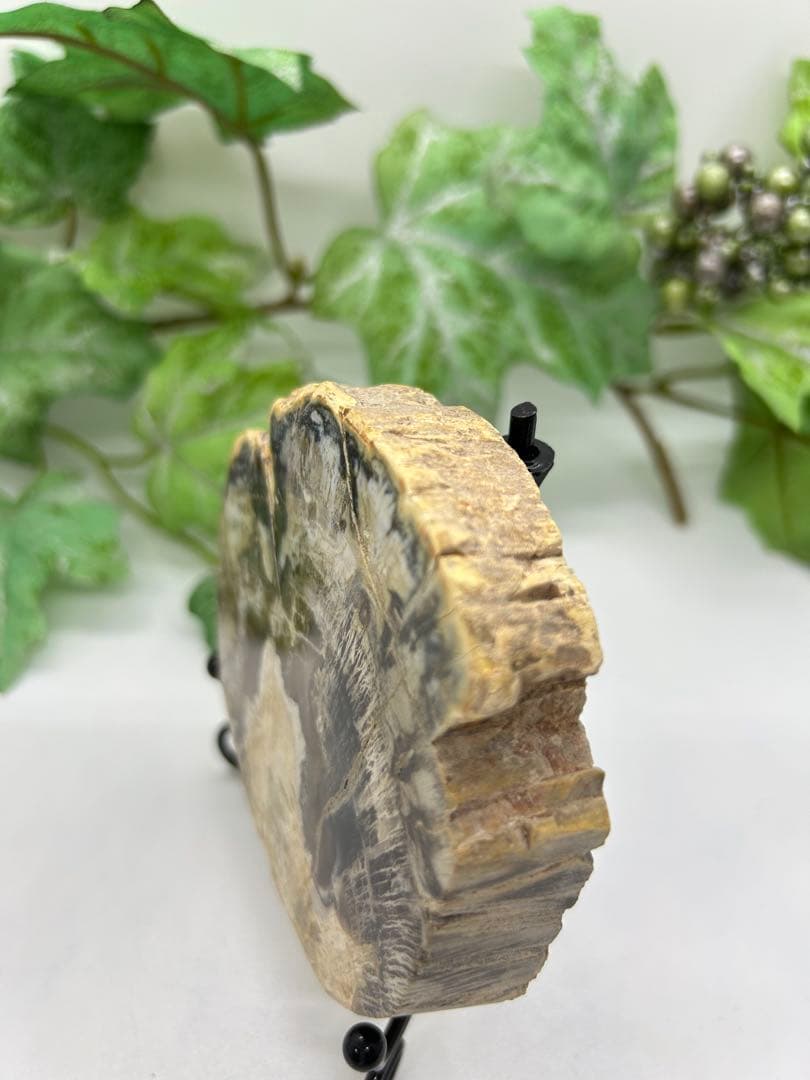 珪化木プレート　ペトリファイドウッド　No.901