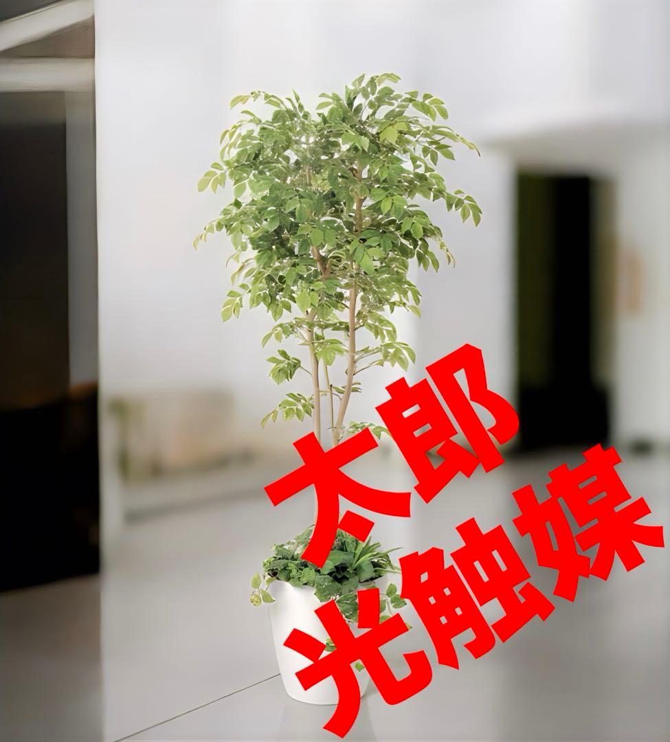 光触媒　人工観葉植物　ウォールグリーン　マウンテンアッシュ1.81.8