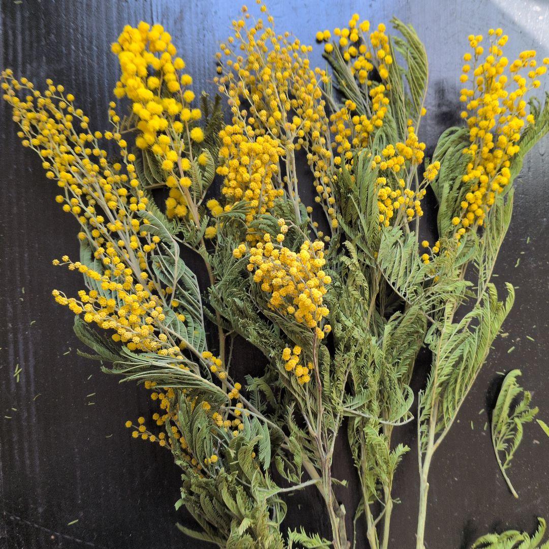 はなこ様✼同梱