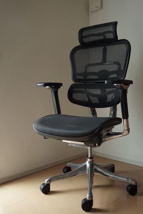 Ergohuman PRO HIGH Type エルゴヒューマンプロ