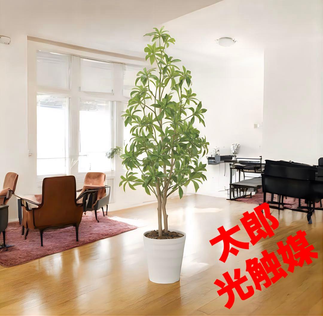 光触媒　観葉植物　ウォールグリーン　フェイクグリーン　フレッシュアセビ1.35