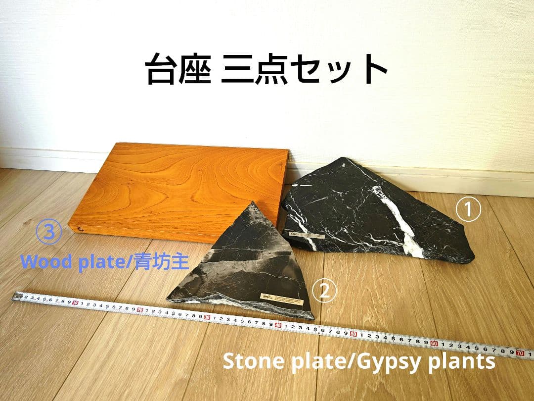 台座 (Gypsy plants/青坊主)三点セット 検)インビジブルインク