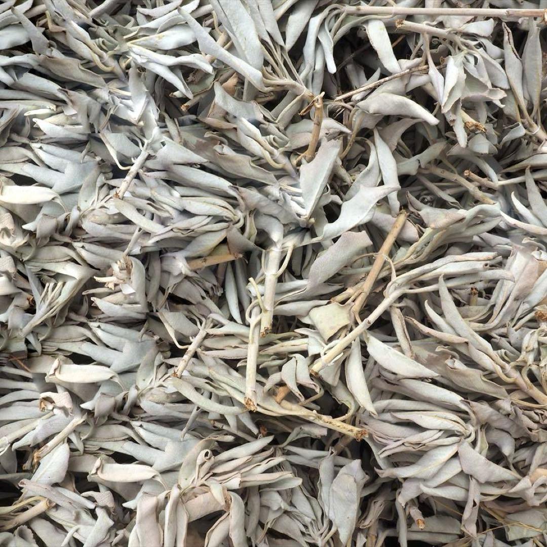 激安お買い得☆800g＜浄化☆邪気祓い☆カリフォルニア産ホワイトセージ枝付き＞