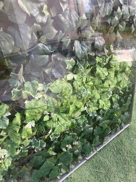 人工観葉植物　壁面緑化　グリーン