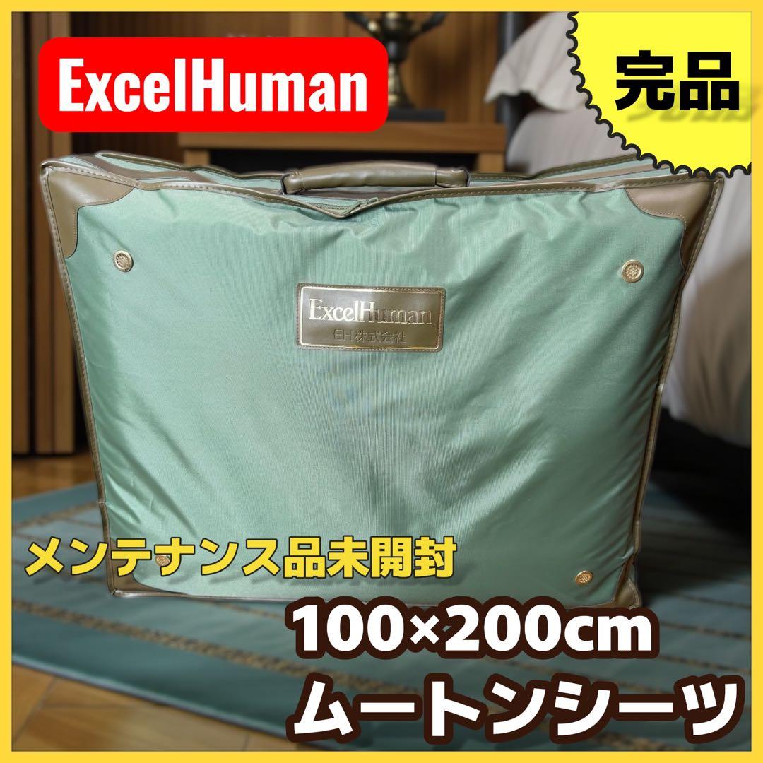 ExcelHuman ムートンシーツ100×200cm 羊毛皮100% 高級寝具