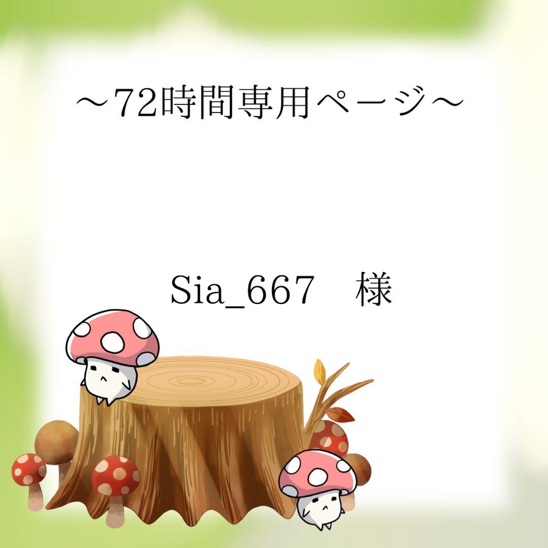 Sia_667ページ
