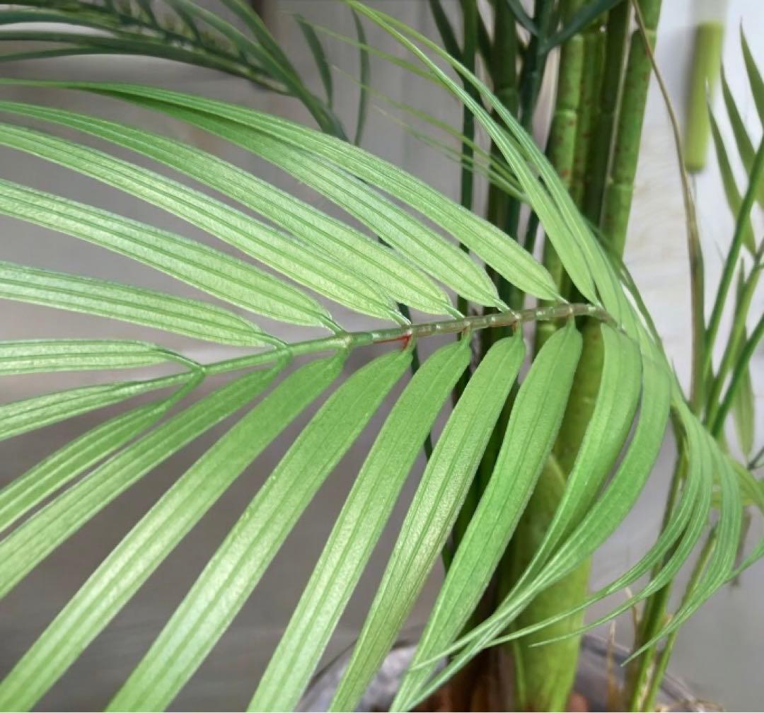 光触媒　人工観葉植物　ウォールグリーン　フェイクグリーン　花器付アレカヤシ147
