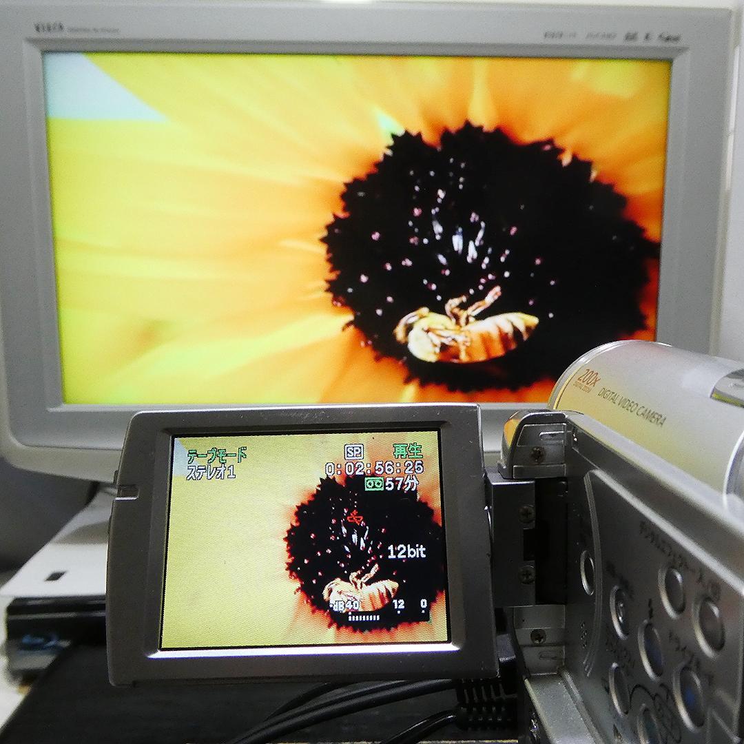 動作良好 キャノン IXY DV M3 MiniDVビデオカメラ DVD化に最適