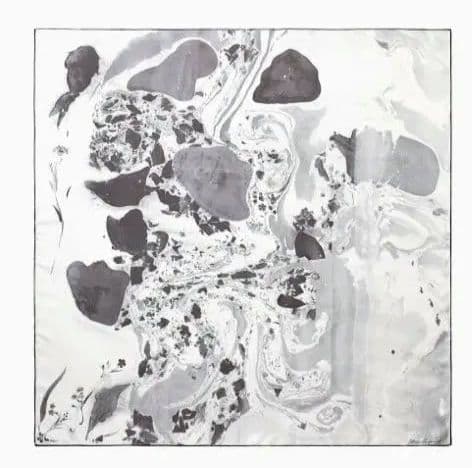 小物 Mame Kurogouchi Hand Printed Silk Scarf