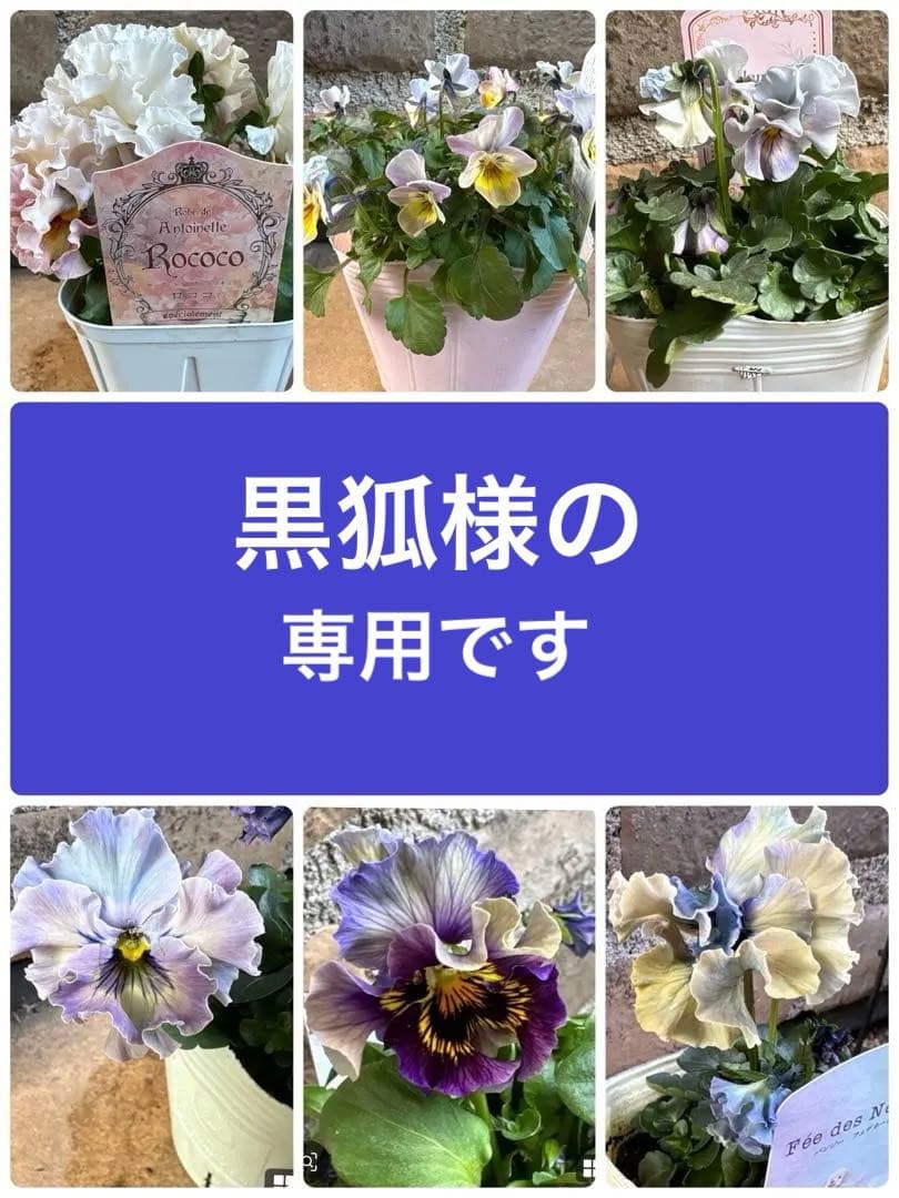 フェデネージュ