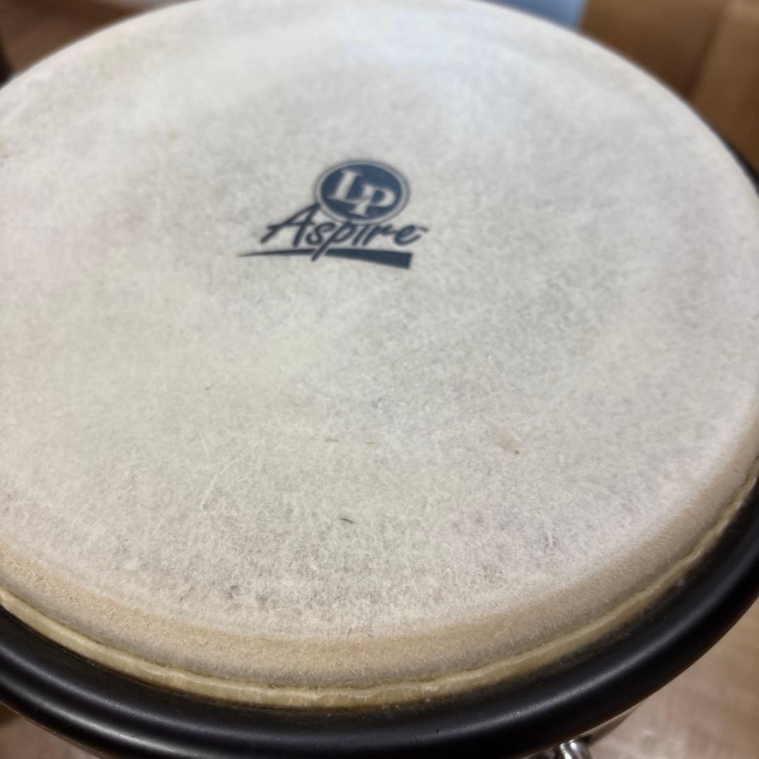 mondo♥　LP Aspire ボンゴ ダークウッド　美品