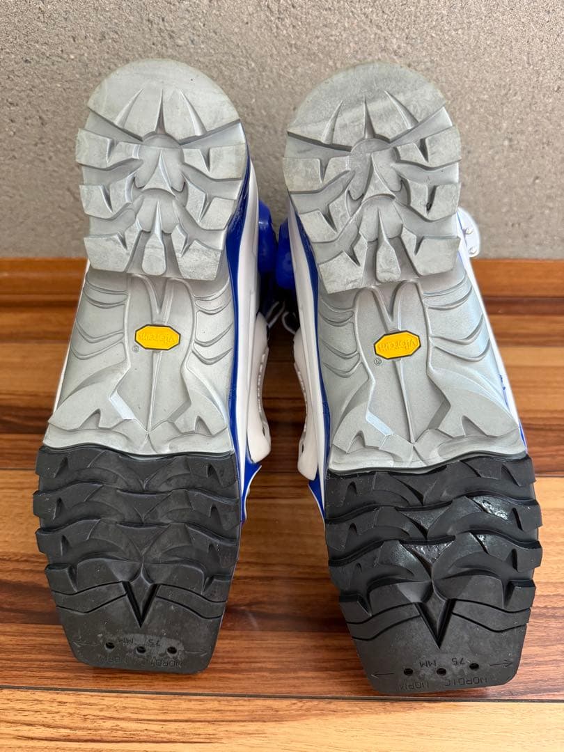 みぃ！SCARPA T2ECOテレマークスキー ブーツ(女性用)