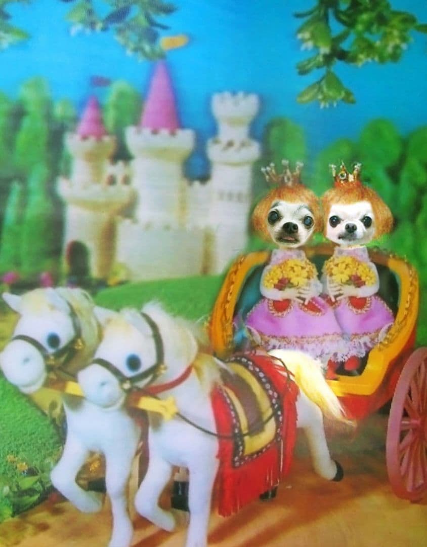 ねるぽページ♥️　チワワ　ぬいぐるみ　等身大　カズコオガワ