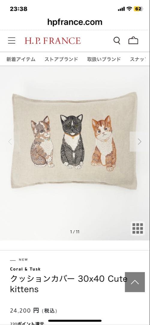 Coral & Tusk クッションカバー 30x40 Cute kittens