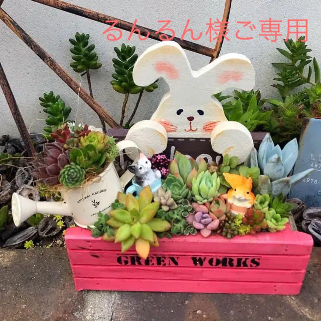 ★多肉植物　寄せ植え〜手作り木製　うさぎさん木箱〜★