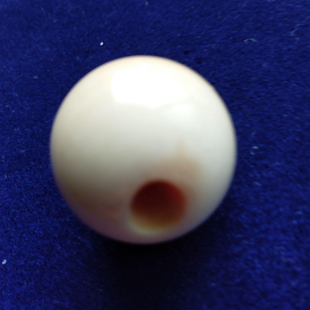 鯨歯　マッコウクジラ　牙玉　ルース　約22.5㎜　片穴約7㎜