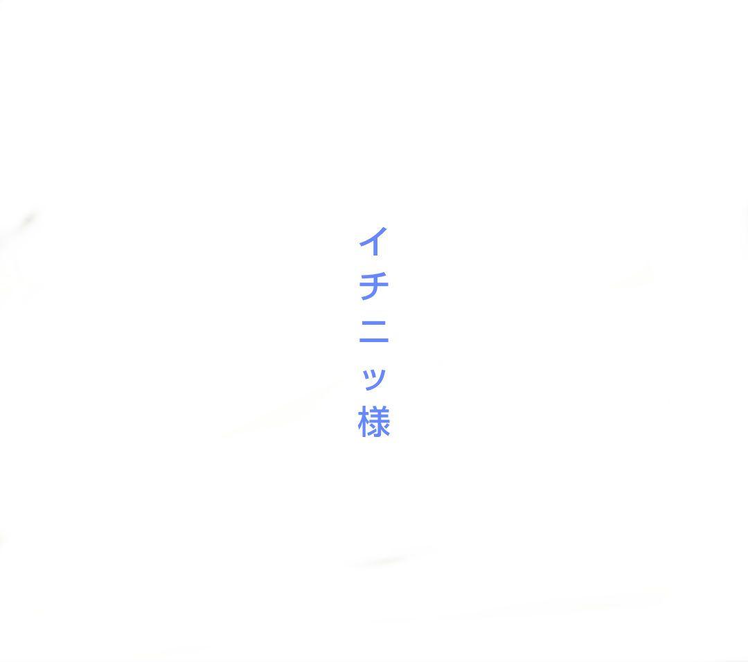 未使用・極美品 Felisi ケース 小銭入れ 財布 オレンジ系